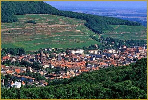 Appartement Avec Terrasse Entre Vignes, Balades, Alsace Guebwiller Exterior photo